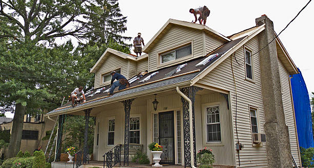 Best Roof Gutter Cleaning  in Timonium, MD